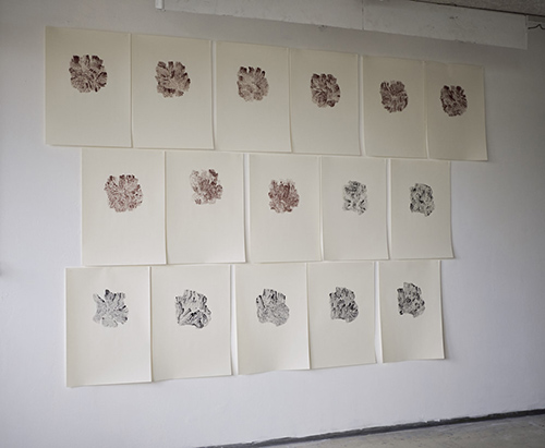 expositions | je-me-souviens | &copy; patrice de Santa Coloma